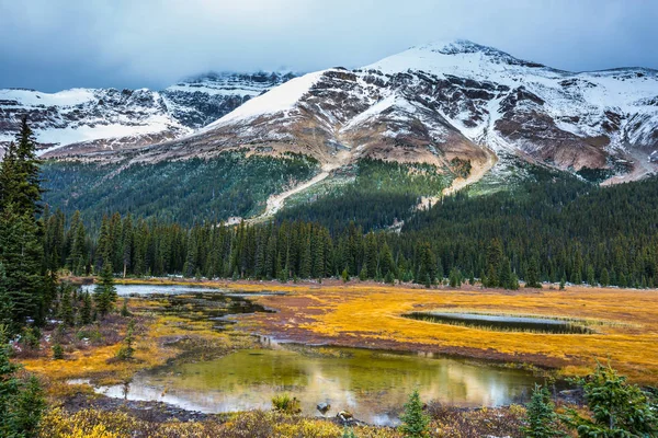 Small lakes — Stock Photo, Image