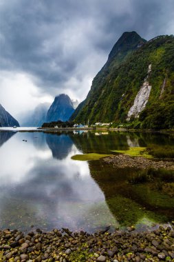 Milford Sound'un ayna pürüzsüz suyu