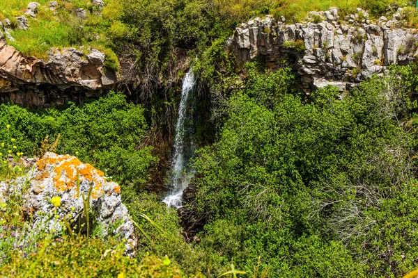 Waterfall in the basalt gorge — Stock Photo, Image