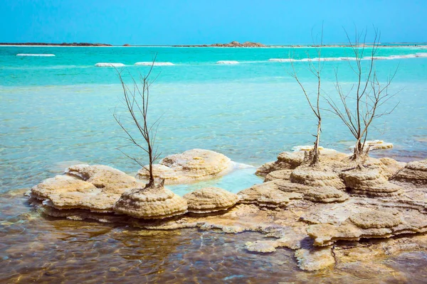 Eternamente vivo Mar Morto — Fotografia de Stock