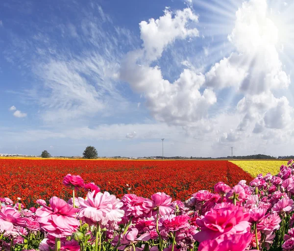 Die Sonne scheint durch die Wolken — Stockfoto