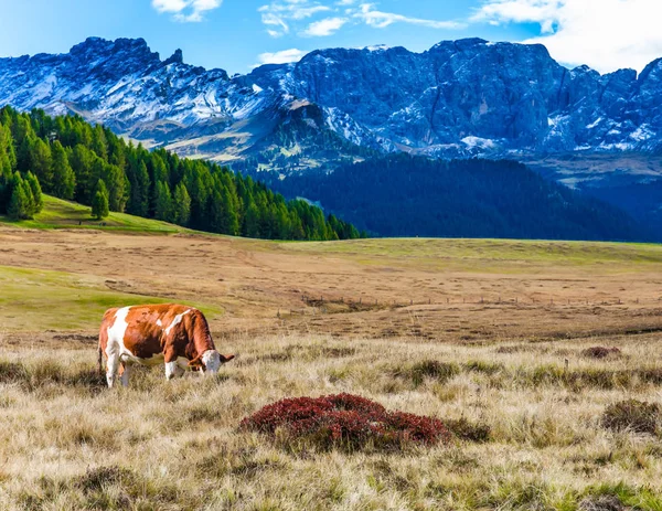 Ridge bordea un valle — Foto de Stock