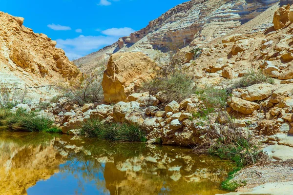 Creek Zin flows through the canyon Ein Avdat — Stock Photo, Image