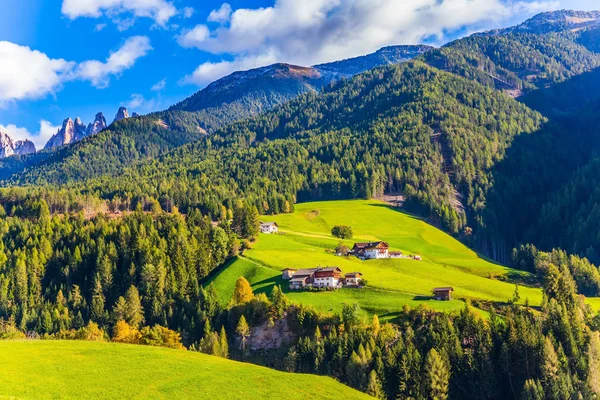 Boerderij koeien grazen op de groene hellingen — Stockfoto