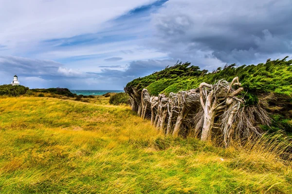 Forte vento dall'Antartide — Foto Stock