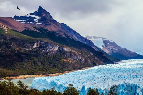 Lodowiec Perito Moreno, w górskiej dolinie — Zdjęcie stockowe