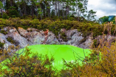 Yeşil suyu olan resim gibi bir göl.