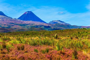 Ngauruhoe - aktif volkan