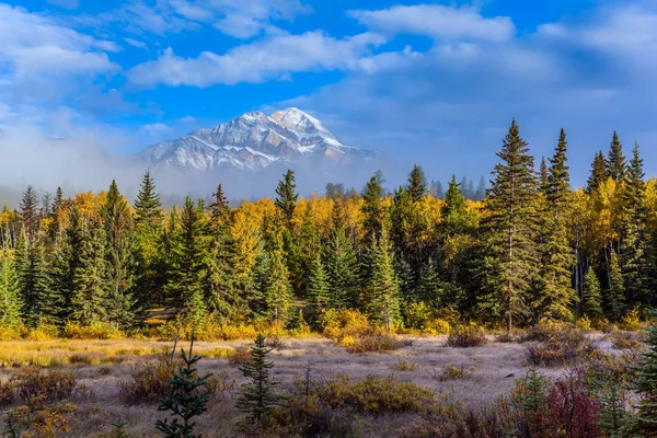 Wonderful landscape — Stock Photo, Image