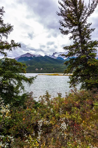 Die Seen und das gelbe Herbstgras — Stockfoto
