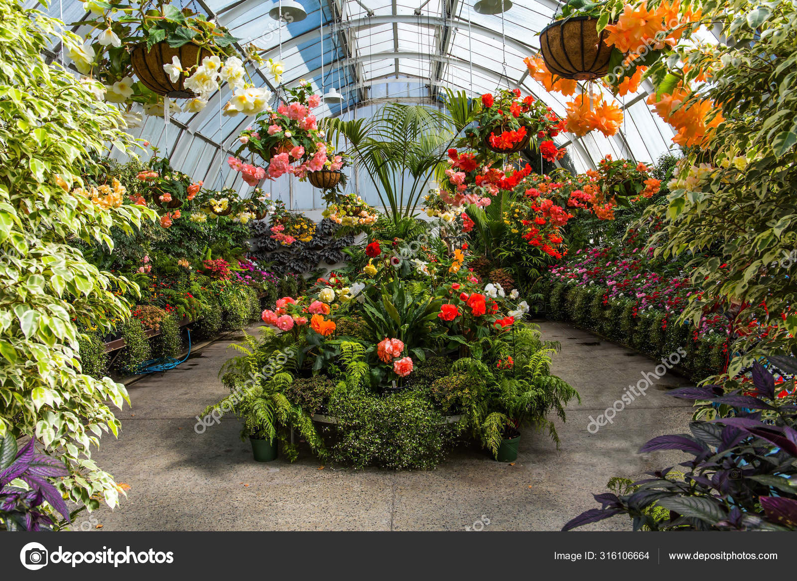 植物園写真素材 ロイヤリティフリー植物園画像 Depositphotos 植物園写真素材 ロイヤリティフリー植物園画像 Depositphotos