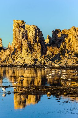 Yansıma. Gün batımı