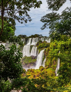 Waterfalls Iguazu clipart