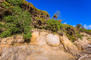 Kumsalda bir kaya parçası.