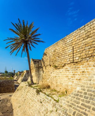 Caesarea 'nun muhteşem park rezervi.