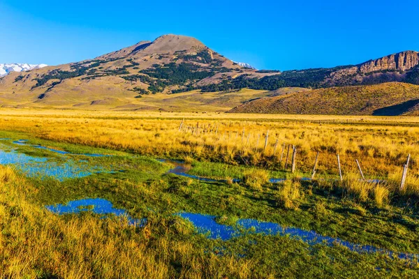 Het groene grasveld — Stockfoto