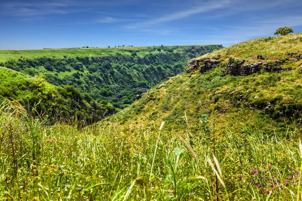 Primavera floreciente Golan Heights —  Fotos de Stock