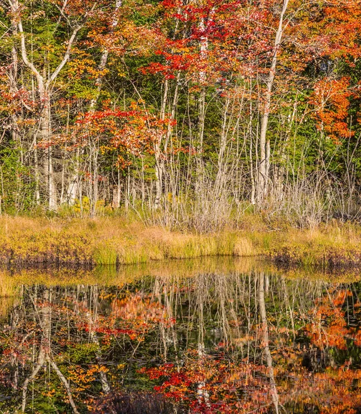 El resort en el Canadá francés — Foto de Stock