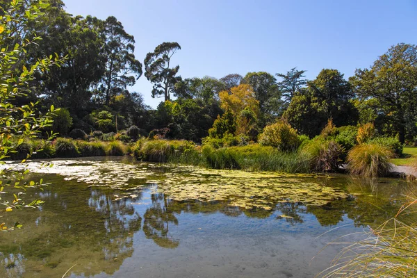 Picturesque pond — Stock Photo, Image