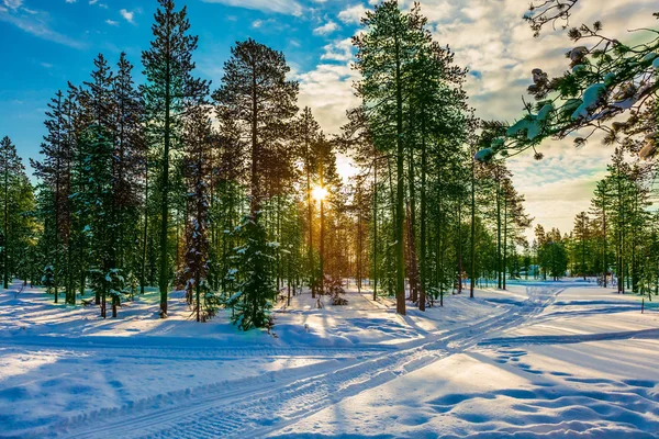 The winter polar sun in the morning — Stock Photo, Image