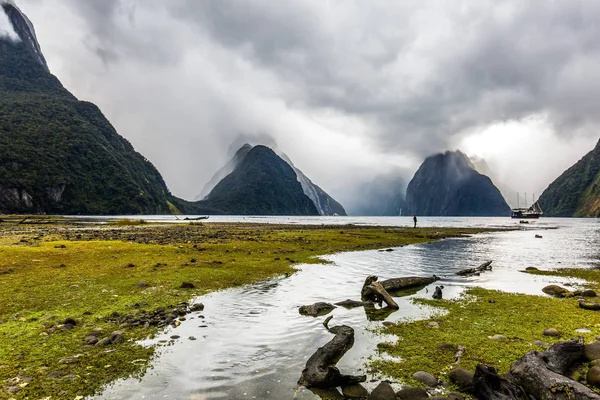 Milford Sound orilla del fiordo —  Fotos de Stock