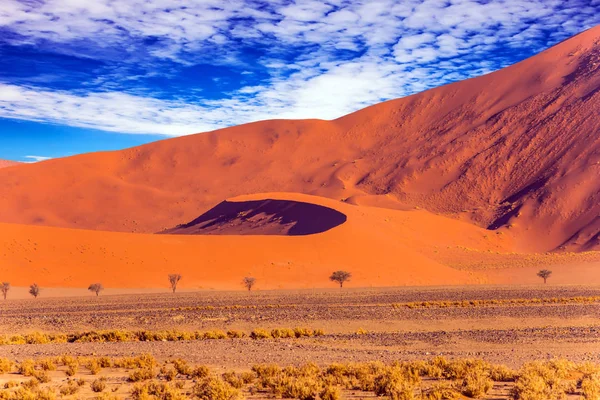 橘红色沙丘 — 图库照片