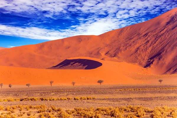 Apelsinröd sanddyn — Stockfoto