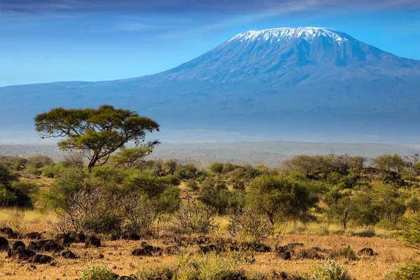 O Kilimanjaro — Fotografia de Stock