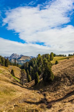 Yürüyüş ve fotoğraf çekmek için güzel güneşli bir gün. Alpe di Siusi, İtalya 'nın Dolomitler şehrinde büyüleyici bir platodur. Yürüme, ekolojik ve fotoğraf turizmi kavramı