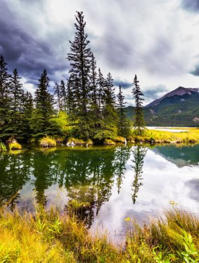 Kanada 'nın Rocky Dağları. Pocahontas yolu boyunca uzanan vadi. Bataklık çimleri ile sığ göller büyüdü. Bulutlu gökyüzü göle yansıyor. Etkin ve fotoğraf turizmi kavramı 