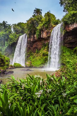 Arjantin 'deki Iguazu Şelalesi' nden iki güçlü şelale. Ekolojik ve ekolojik turizm kavramı. And Akbabaları suyun üstünde gökyüzünde daireler çiziyor.