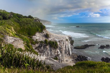 Büyük bir Avustralya kolonisi olan Olushas kayalıklarda yuva yapar. Murivay Sahili 'nde gün batımı. Kuzey Adası, Yeni Zelanda. Aktif, çevresel ve fotoğraf turizmi kavramı