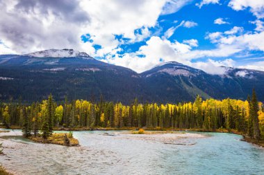  Kanada 'nın karla kaplı Rocky Dağları. Soğuk nehrin kıyısında çok renkli sonbahar ormanları yetişir. Aktif ve otomobil turizmi kavramı