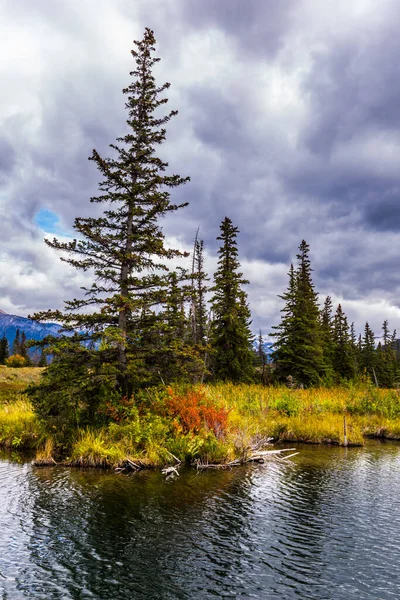 Сказочный Пейзаж Озера Желтая Осенняя Трава Ели Осень Канаде Долина — стоковое фото