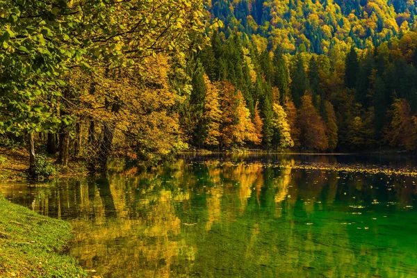 Fantastisch Mooie Herfstbossen Worden Weerspiegeld Het Water Het Rustige Meer — Stockfoto