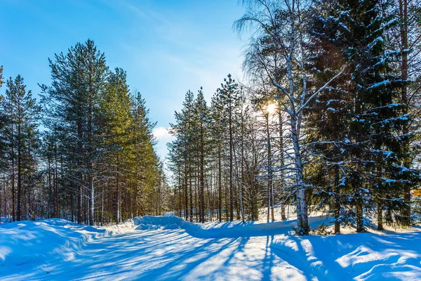 Zonsondergang Het Winterbos Reis Naar Lapland Naar Kerstman Sneeuwwitje Kerstdag — Stockfoto