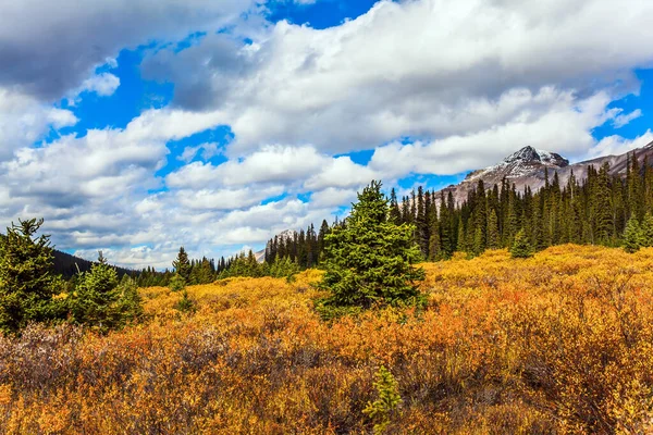 壮观的加拿大落基山脉 湖畔的五彩缤纷的秋草 环境和摄影旅游的概念 — 图库照片