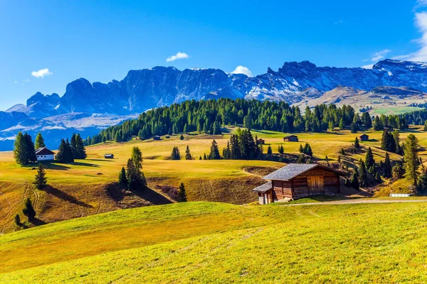 Alpe Siusi Bájos Fennsík Dolomitok Olaszország Gyönyörű Napsütéses Nap Túrázásra — Stock Fotó