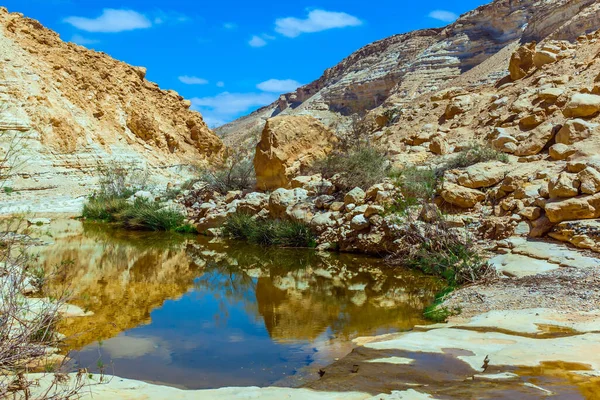 渓谷と空は水の中に反映されます クリークZinは イスラエルのネゲヴ砂漠の峡谷Ein Avdatを流れています 生態学的 写真とアクティブな観光の概念 — ストック写真