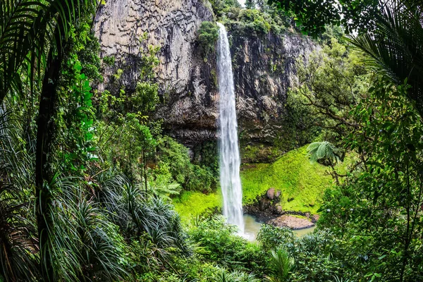 Viaje Exótico Isla Norte Nueva Zelanda Concepto Turismo Activo Ecológico — Foto de Stock