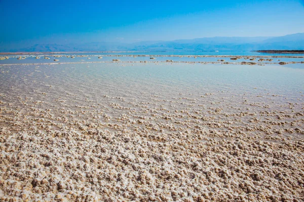Día Caluroso Verano Famoso Balneario Mar Poco Profundo Está Cubierto — Foto de Stock