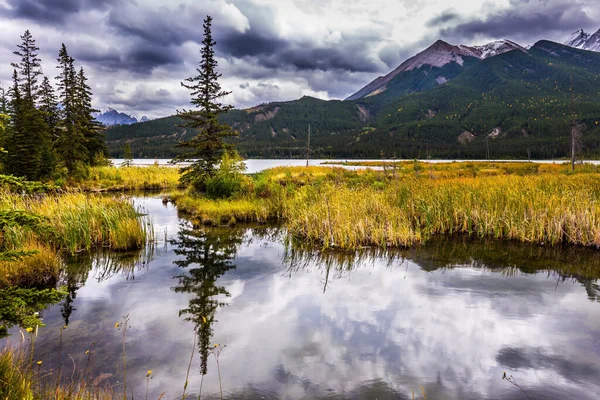 Montagne Rocciose Del Canada Abete Rosso Snello Splendidamente Riflesso Nell — Foto Stock