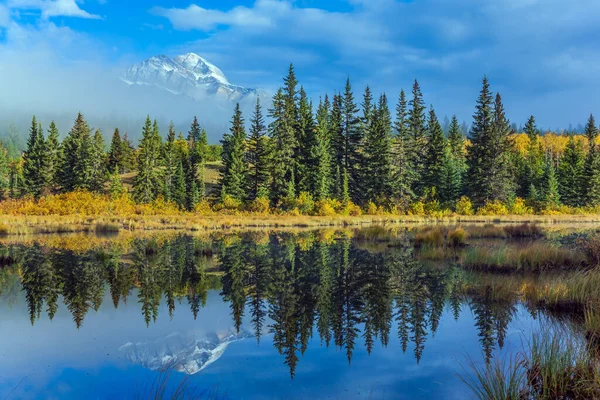 Concept Tourisme Actif Écologique Photographique Montagnes Rocheuses Canada Dans Eau — Photo