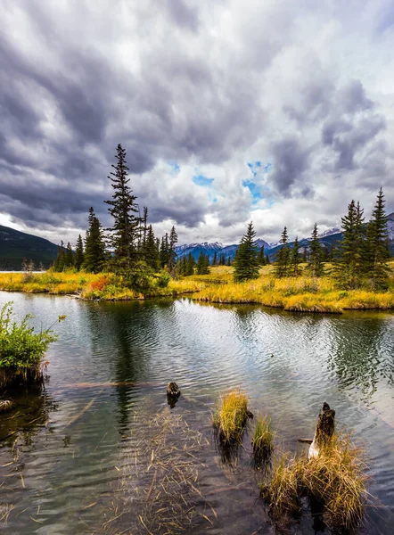 Herfst Wind Drijft Rimpelingen Het Donkere Water Meren Geel Herfstgras — Stockfoto