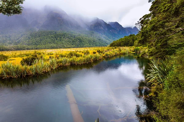 雲と霧の山々をカバーします ミルフォードサウンドへ行く途中の霧の朝 ニュージーランドの南島の雄大な自然 エキゾチックで活動的で写真家という概念 — ストック写真
