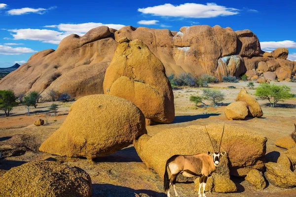 Viajar Para África Antílope Oryx Pernas Compridas Pedras Pitorescas Deserto — Fotografia de Stock