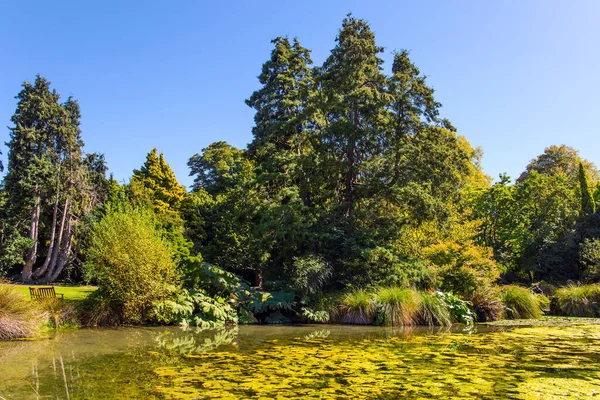 Christchurch Malowniczy Ogród Botaniczny Podróż Nowej Zelandii South Island Malowniczy — Zdjęcie stockowe