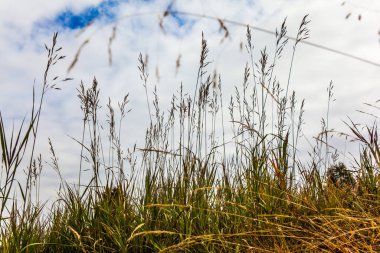  Kuru çimenler ve bulutlu gökyüzü. Hint yazı. Alpe di Siusi, İtalya 'nın Dolomitler şehrinde büyüleyici bir platodur. Sonbaharın başlarında Tyrol tepeleri. Yürüme, ekolojik ve fotoğraf turizmi kavramı