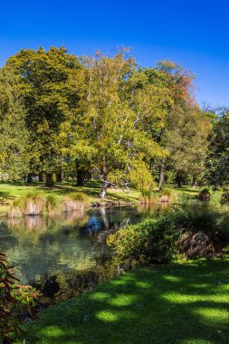 Oldukça sessiz nehir parkın içinden akar. Christchurch Sahnesi Botanik Bahçesi. Yeni Zelanda 'ya, Güney Adası' na git. Ekolojik ve fotoğraf turnuvası konsepti