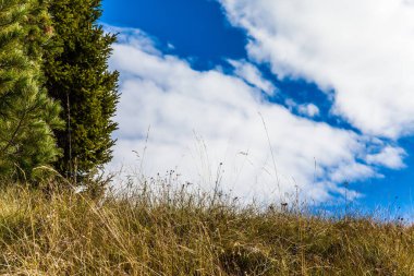 Alpe di Siusi, İtalya 'nın Dolomitler şehrinde büyüleyici bir platodur. Hint yazı. Kuru çimenler ve bulutlu gökyüzü. Sonbaharın başlarında Tyrol tepeleri. Yürüme, ekolojik ve fotoğraf turizmi kavramı